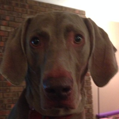 ryno_86's profile picture. 