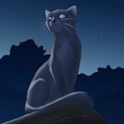 crazy girls do stuff. my warrior cat is loveheart of thunderclan . pelt color:white with jet black stripes eye color: aqua fur: very thick and fluffy