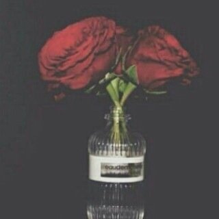 manalj8's profile picture. 