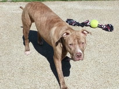 suthernswagg84's profile picture. Jus doing wut I gotta do