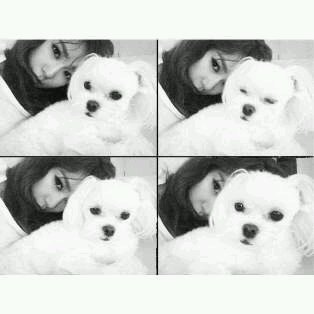 pard of tiffany hwang//without you, im nothing IAMinhoChoi's♡//GO GG OT9!★