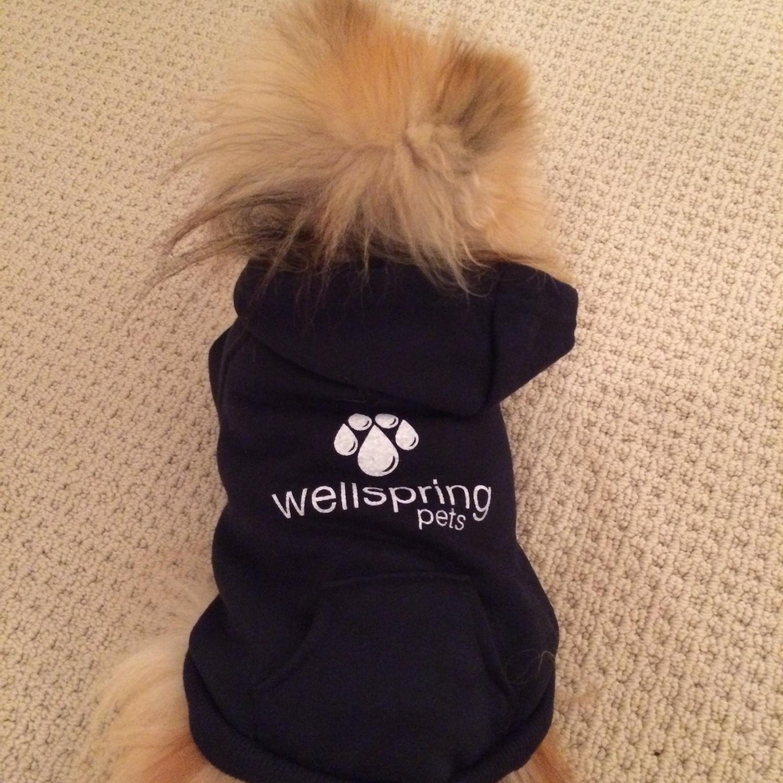 WellspringPets's profile picture. Delicious all-nutrient water for dogs: your dogs will love it because it tastes good; you'll love it because it's good for them!