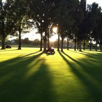 The Fox Hill Club (@foxhillturf) 's Twitter Profile