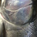 Jake Mahon - @jakejmahon - Twitter