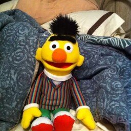 ChicagoDecues's profile picture. 