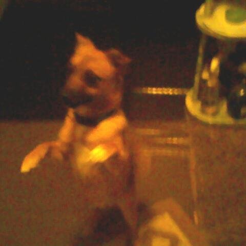 belindaleeowens's profile picture. 