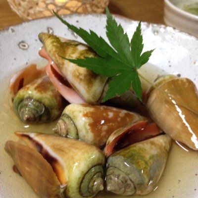 靴を脱いで入るお店「草や」※当日予約可★火〜土17:30〜21:30週末22:00迄●088-855-3436 日月定休。祝席休日ご予約相談下さい●夜営業のみ●インボイス登録店●店内禁煙●旬の食材調理の妨げになる為柔軟剤等強い香りの方入店ご遠慮くださいませ