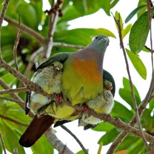 ESTOY EN EL MEJOR MOMENTO DE MI VIDA.SINTIENDOME ORGULLOSA DE MIS HIJOS Y DISFRUTANDO MIS NIETOS.