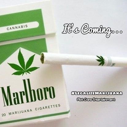 FLIGHT__420's profile picture. @PilotCrewENT's Push For Legalizing Marijuana // We Represent & Live The Stoner Culture // Smoker Music: @QualitiLYFE's #MulattoDreams and #PotentDreams OUT NOW