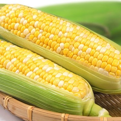 モロコシ主義、野菜ジュースにはなかなか入れてくれない。こう見えて国産だぜぇ。ハジけるコーンに身を委ねれば見えてくる、野菜売り場の絆、そこに全てが詰まっているのなら、俺はこの黄色いつぶつぶを爆弾に変えてみせるぜ。