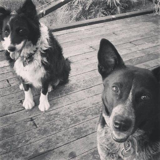 MissMinMinNT's profile picture. 