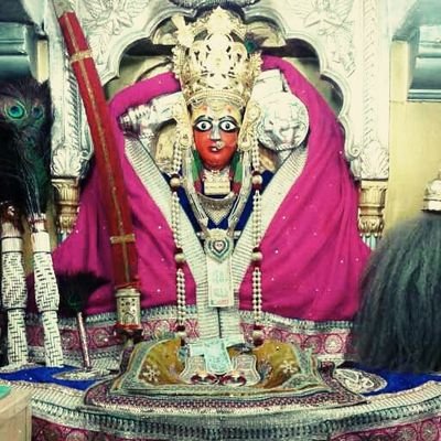 d8fd0d8a6082434's profile picture. rajsthan ,,,pali ,,,bali ,,boya