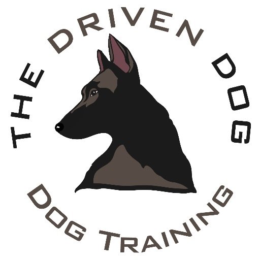 Custom Dog Training - Board 'n Train - Private Lessons - Service Dogs - Therapy Dogs - AKC CGC - Obedience - Aggression Management - Puppy Basics