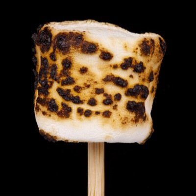 I am a spongy confection made from a soft mixture of sugar, albumen, and gelatin.