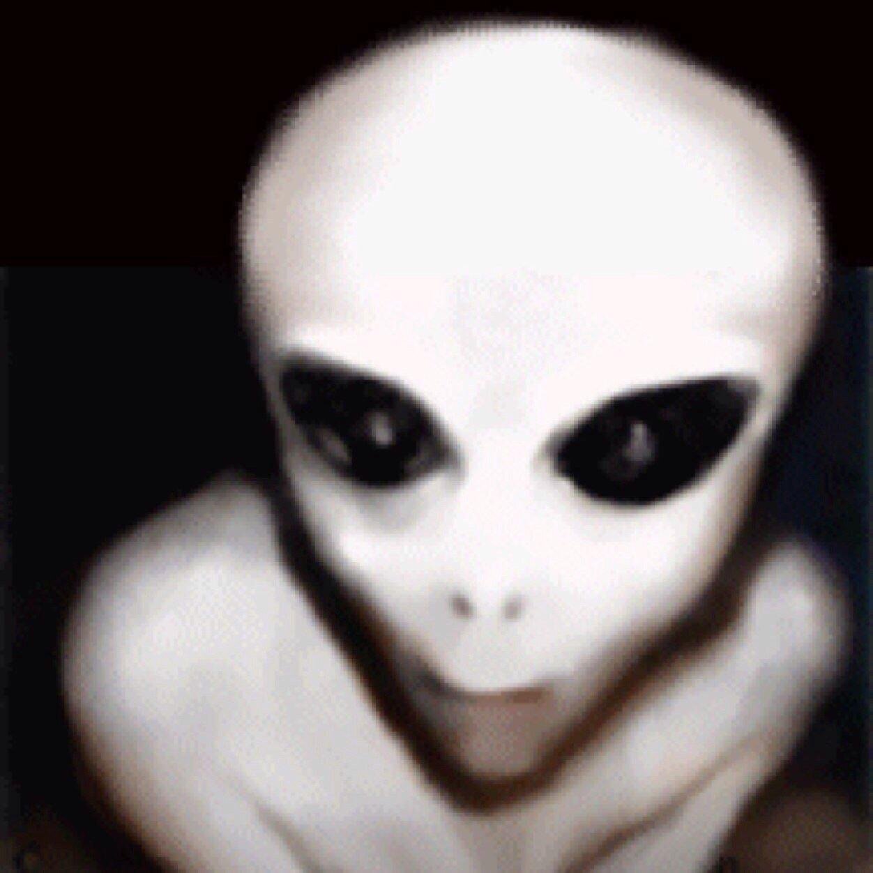 CONSPlRACYSTORY's profile picture. What do you believe?