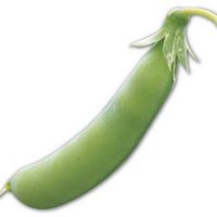 さすらいの元ニート (@neo_neet_4949) 's Twitter Profile Photo