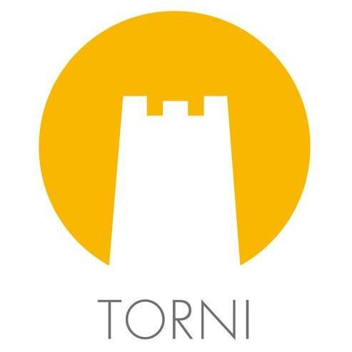 Tornikustannus's profile picture. 