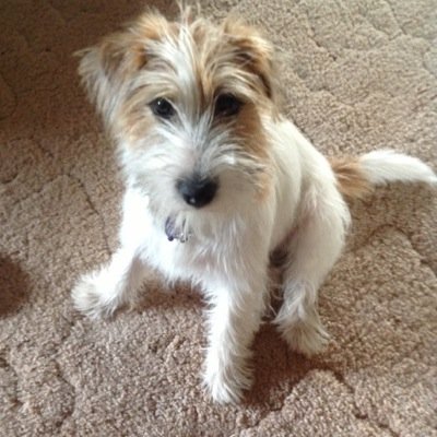 ChrisNiklaus25's profile picture. 