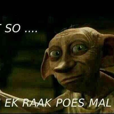 ZU6GP's profile picture. 