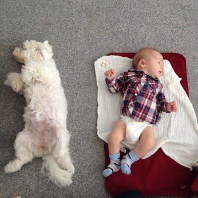 TheGinge87's profile picture. I'm a realist, I'm a romantic, I'm an indecisive piece of shit.