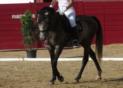 Paraa baiilar laa bambaa se necesita unaa poca dee graciiaa!! Riietee ;)
TSID ☢