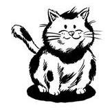 Funnyvideo1693's profile picture. 