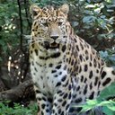 Tom Hauge - @tomhauge57 - Twitter