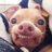 Tuna_the_dog's profile image