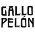 Gallo Pelón (@gallopelonnc) Twitter profile photo