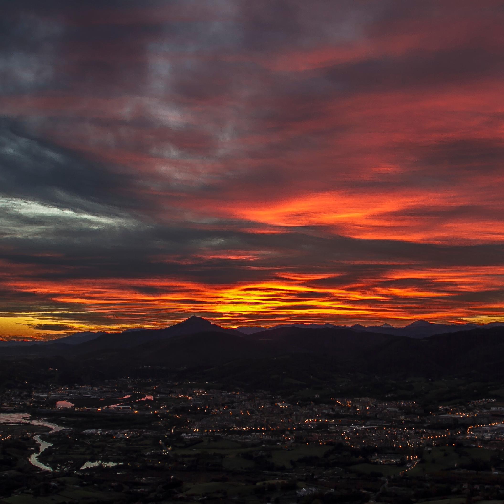 gatobelasko's profile picture. 