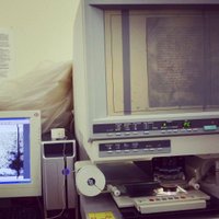 Rebecca Try (@speckledscribe) 's Twitter Profile