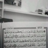 لإاجلك ميش  (@248mesh) 's Twitter Profile