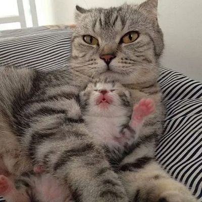 yakyeddd's profile picture. 