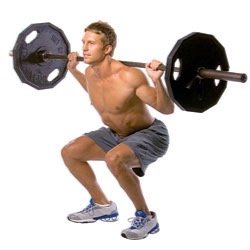 CanSquat Profile Picture