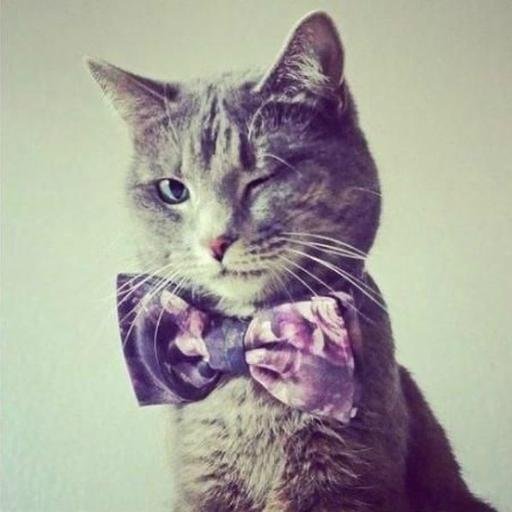 WooloveMadrid's profile picture. Manualidades y complementos para el día a día #bisutería #crochet #complementos