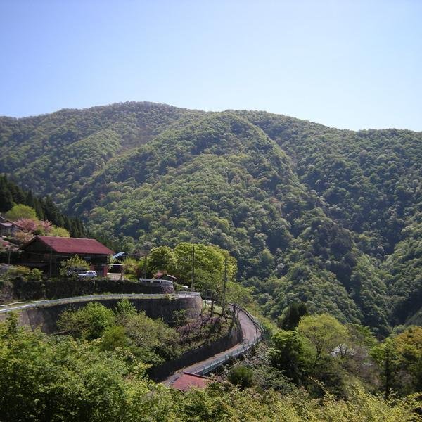 yaasag's profile picture. 