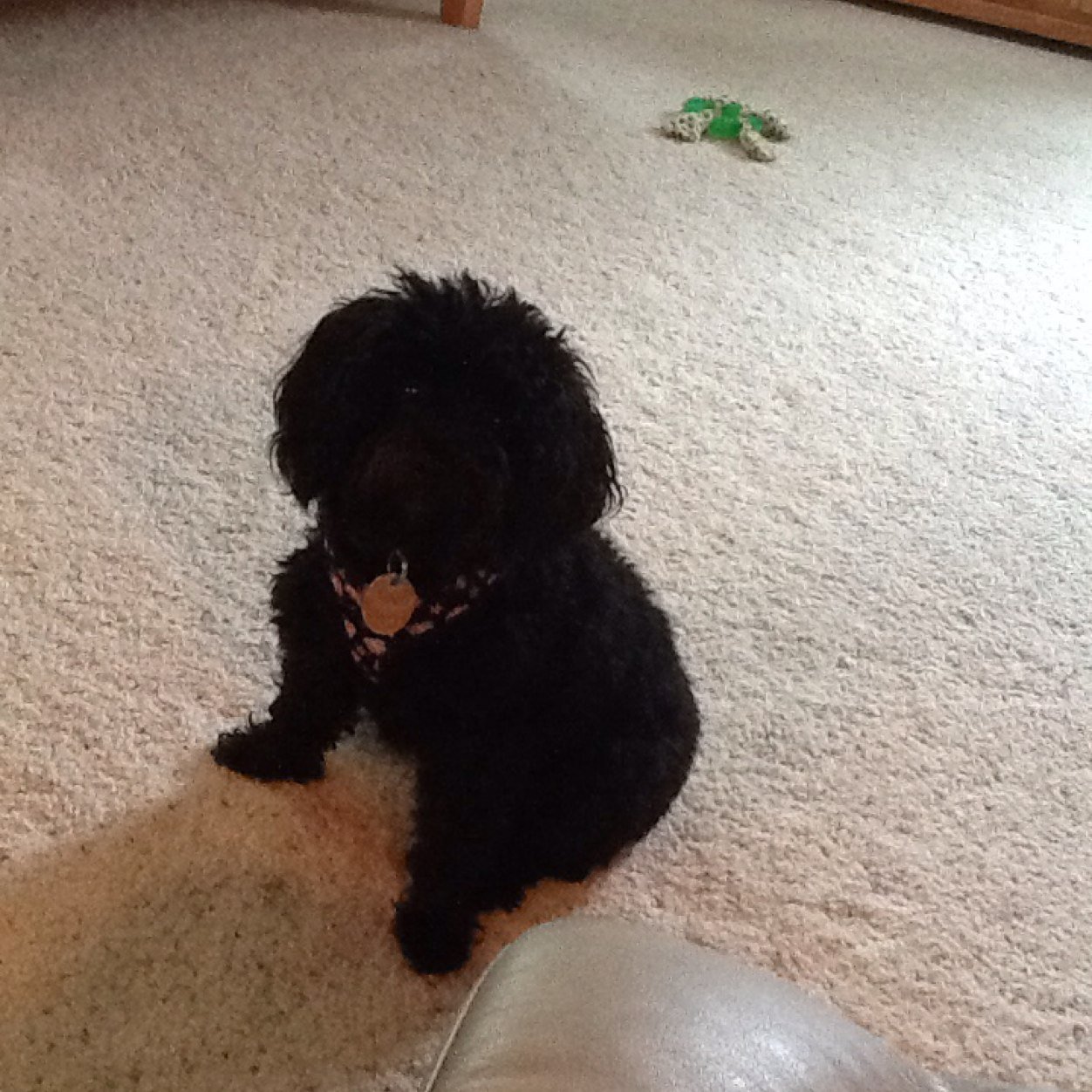 Soccergrandma94's profile picture. 