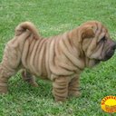 Adrian Farfan - @adriiforever20 - Twitter