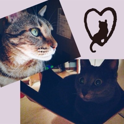 crimsoner's profile picture. 週末は🗜️🔨彫金作家 ロリィタな社会人♡LOVE♡ アニメ・海・ヴィッセル神戸・美味しいお酒と食べ物・音楽・かわいいもの💕・クラフト・ゴッホ・カターレ・仮面ライダー・神戸・坂の上の猫・写真・空・阪神タイガース・動物・釣り・幕末・にゃんこ 🎣アカウント→grigra_fishing