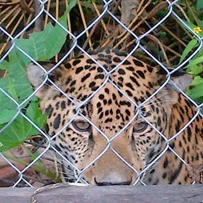 CocoCocog913's profile picture. ERMOSA ILUCION;)