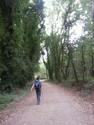Antes a la cintura que a la basura. A qui tinga voluntat no hi ha que llevar-li-la