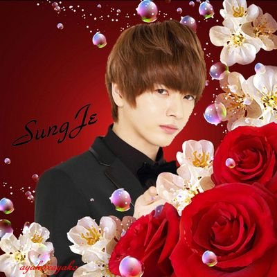 SUPERNOVA onlyLove ☆ ソンジェ君よりのallペンです(^-^)/が…最近チ チャンウク君にも魅了されちゃってます😁、花郎を見てからパク 匕ョンシク君BTSのV君も応援しています❗宜しくお願いします(*^^*)