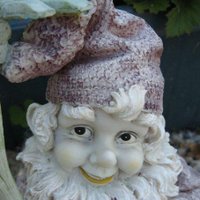 Gnameless (@garden_nome1) 's Twitter Profile