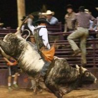 Frank Kasper (@10f32164e60146d) 's Twitter Profile