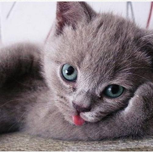 Hoezodat105's profile picture. 