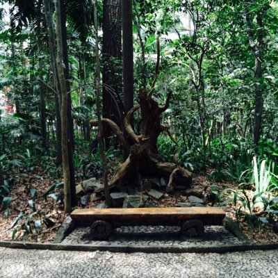 pedropcamara's profile picture. 