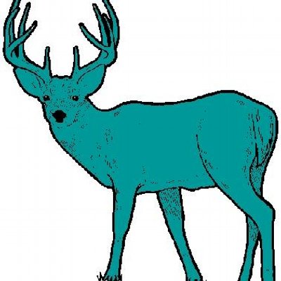 Teal Deer.