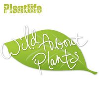 Plantlife(@WildaboutPlants) 's Twitter Profileg