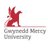 gmercyucareers's profile image