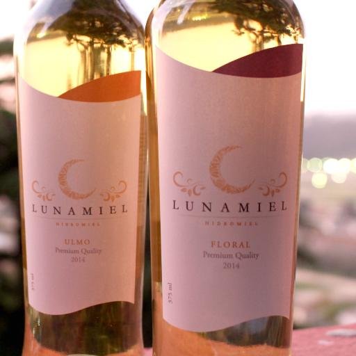 Producción y comercialización de licores Gourmet innovadores basado en el rescate de fórmulas ancestrales de diferentes culturas, con materia prima 100% chilena
